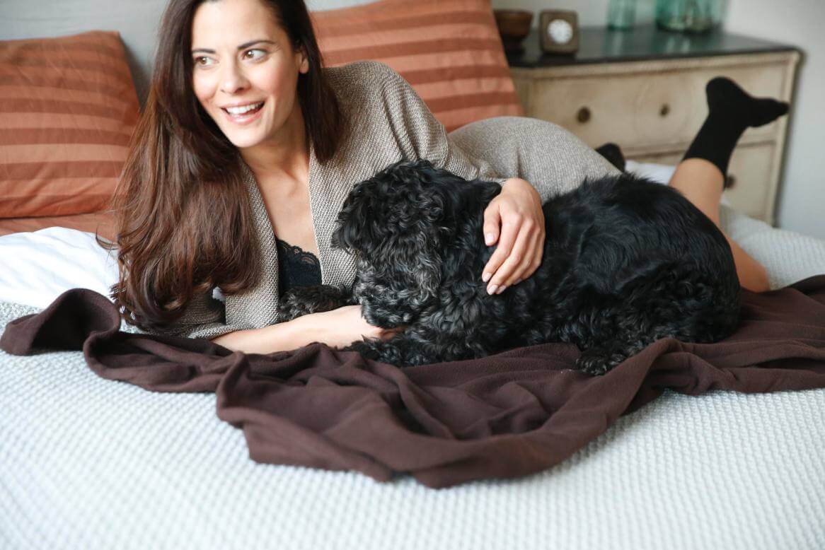 Healthy blanket for pets and owners