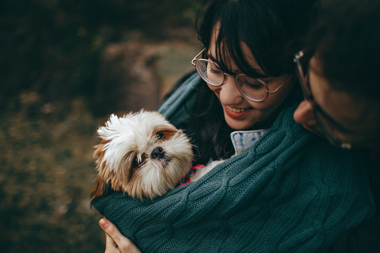 A Guide To Keep Your Dog Smelling Its Best