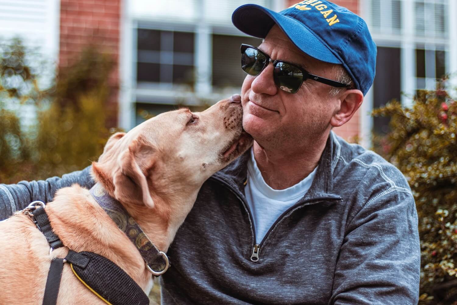 Sleepless Dog? Here’s How You Can Help Man’s Best Friend